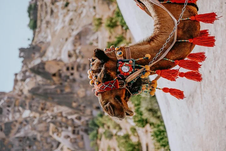 Cappadocia Camel Ride Experience with Hotel Pickup