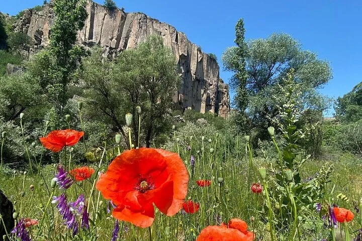 Cappadocia Daily Green Tour