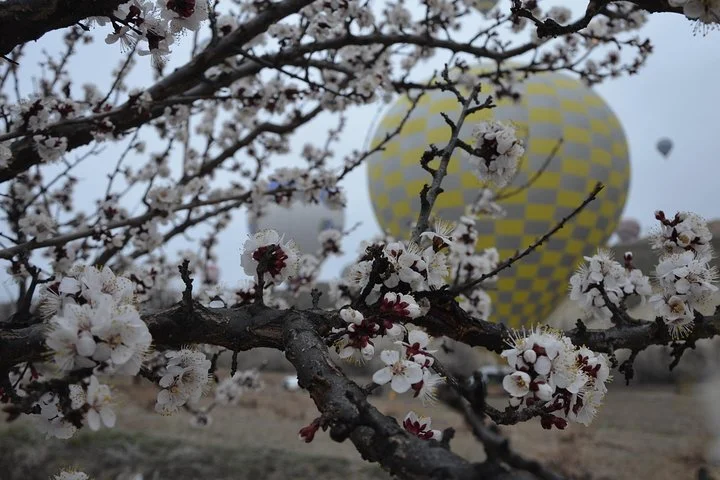 Cappadocia Goreme Balloon Tour