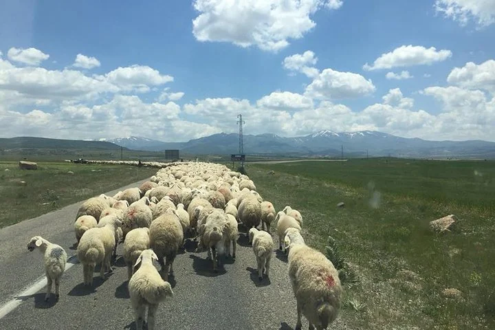 Cappadocia Green Tour
