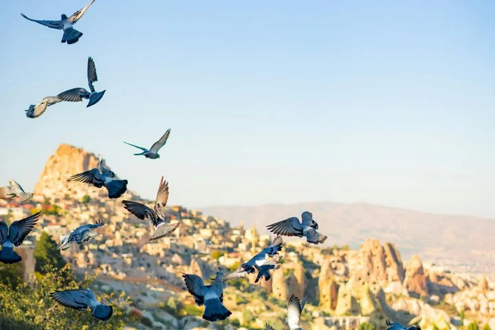 Cappadocia Green Tour with Selime Monastery