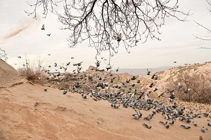 Cappadocia Highlights Tour and Underground City