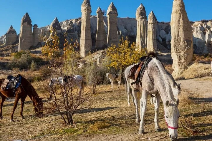 Cappadocia Horse Riding Experience Sunrise Sunset Daytime