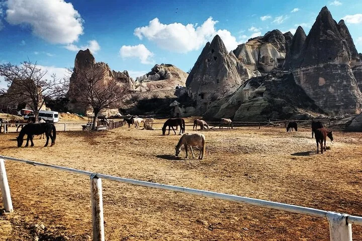 Cappadocia Horse Riding: Sunrise, Sunset or Daytime