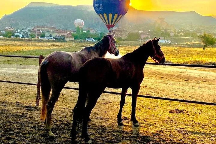 Cappadocia Horse Riding Tour