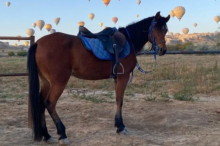 Cappadocia Horse Riding Tour