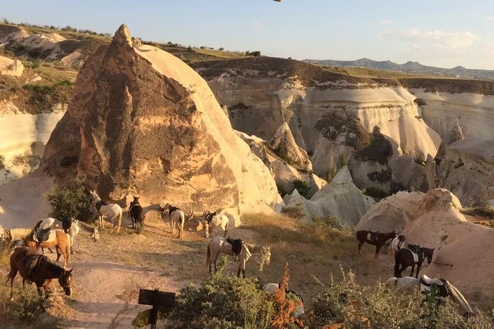 Cappadocia - Horseback Riding in Winter Wonderland