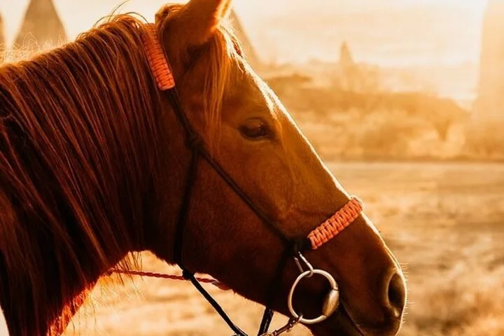 Cappadocia Horseback Riding Tour (Transfer Included)