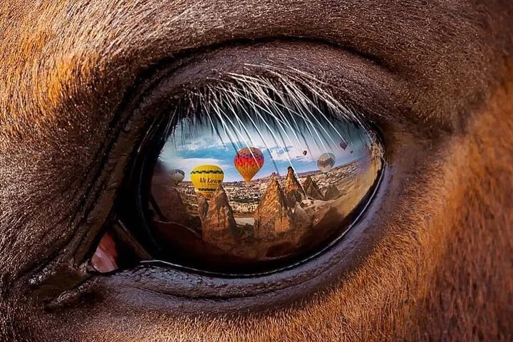 Cappadocia Horseback Riding Tours Sunset or Sunrise