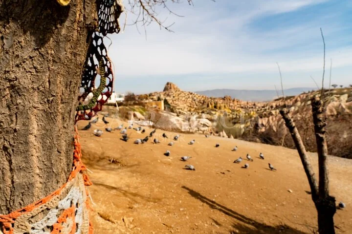 Cappadocia Mix Tour With Cappadocia Visitor