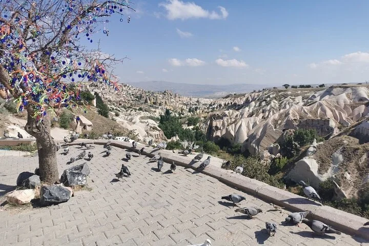 Cappadocia Private Guided Tour (Car & Pro Guide)