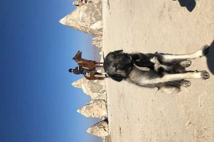 Cappadocia Private Half-Day Horseback Riding