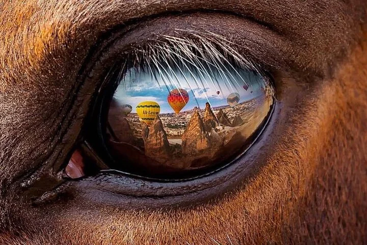 Cappadocia Private Half-Day Horseback Riding
