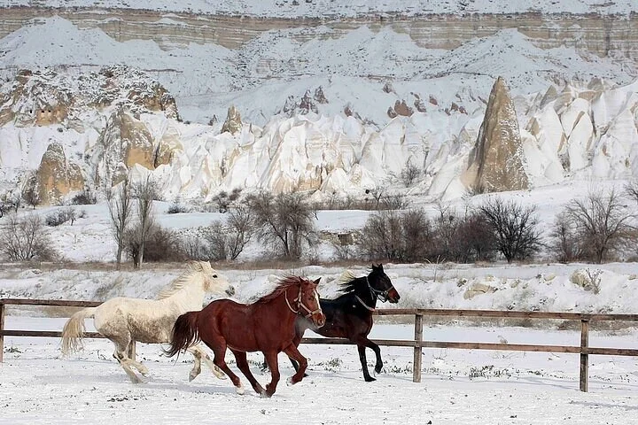 Cappadocia Red Tour (North Tour)