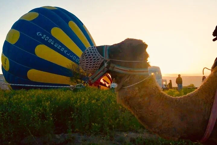 Cappadocia Sunrise Camel Safari