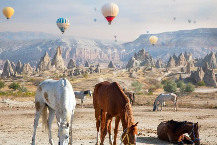 Cappadocia Sunrise Horseback Riding Tour with Hotel Pickup