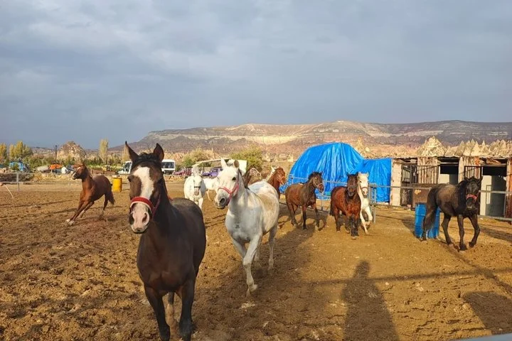 Cappadocia Sunrise Horseback Riding Tour with Hotel Pickup