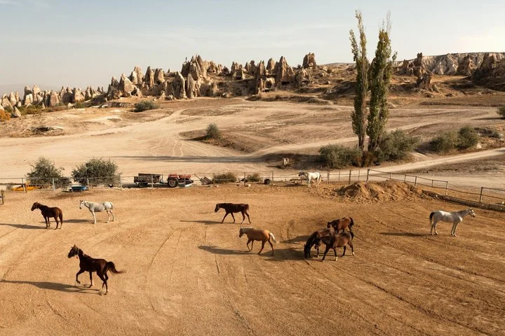 Cappadocia Sunrise Horseback Riding Tour with Hotel Pickup
