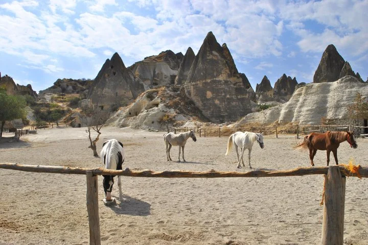 Cappadocia Sunrise Horseback Riding Tour with Hotel Pickup