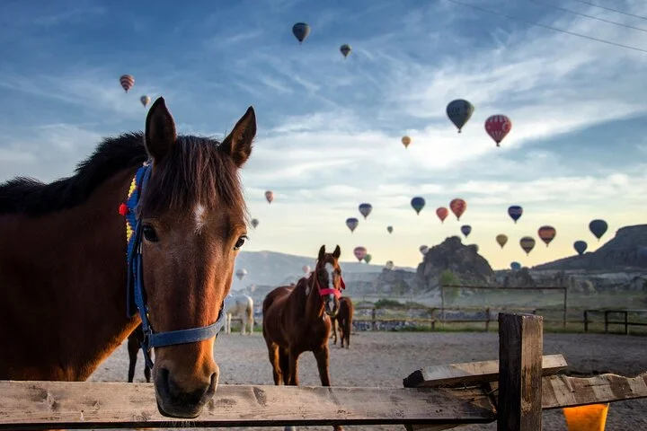 Cappadocia Sunset Horseback Ride Through the Valleys