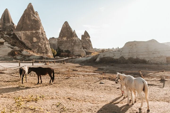 Cappadocia Sunset Horseback Riding Tour 2 Hours
