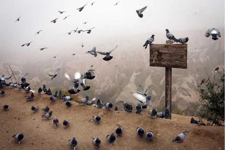 Cappadocia Top Sights Tour Skip the Line Guided Experience