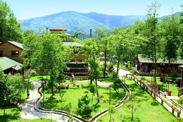 Daily Sapanca & Maşukiye & Mahmudiye Tour with Lunch from Istanbul