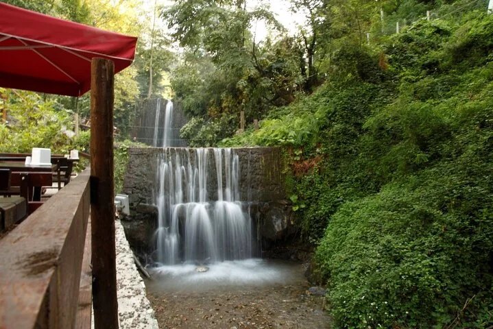 Daily Sapanca & Maşukiye & Mahmudiye Tour with Lunch from Istanbul