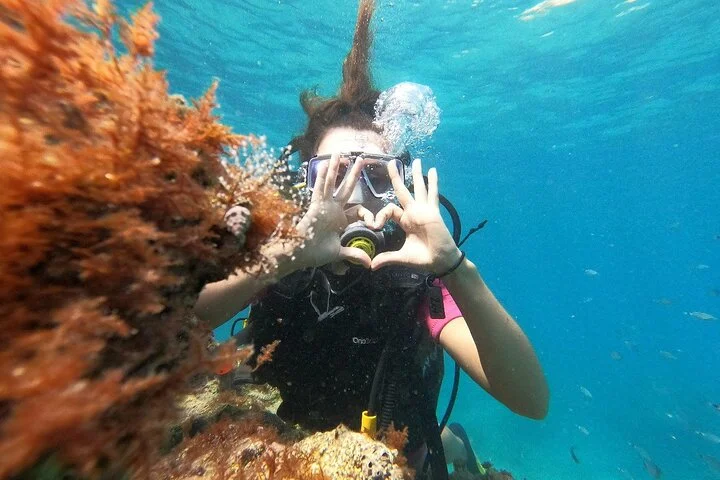 Diving with optional Pick Up - Drop Off from Antalya