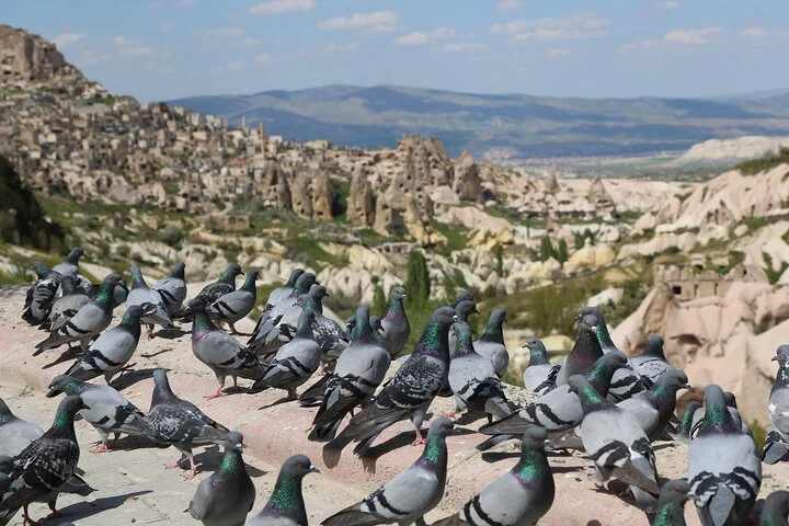 Explore Cappadocia in One Day – Private Tour with Guide