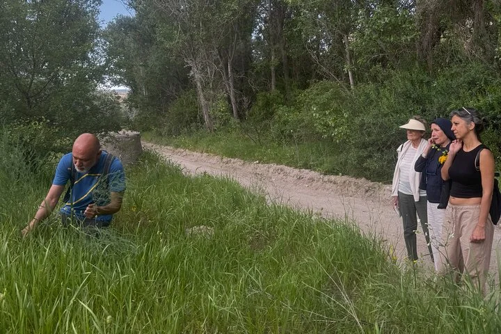 Foraging and Gastronomy Experience