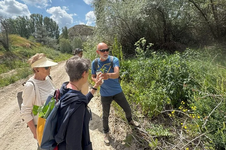 Foraging and Gastronomy Experience