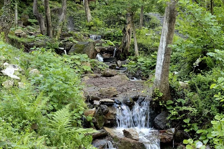 From Istanbul: Sapanca and Masukiye Day Trip with Lunch