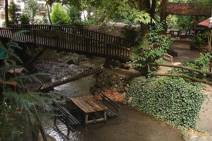 From Istanbul: Sapanca and Masukiye Day Trip with Lunch