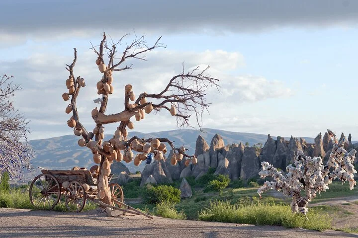 Full Day Cappadocia Red Tour (With & Without Museum and Lunch)