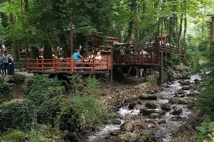 Full Day Tour in Sapanca & Masukiye from Istanbul