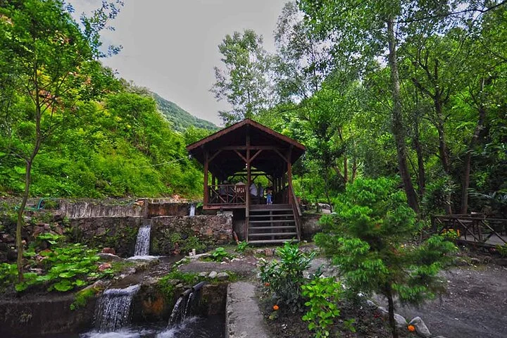 Full Day Tour Sapanca and Masukiye from Istanbul