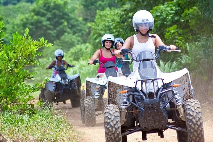 Full Day Tour Sapanca and Masukiye from Istanbul