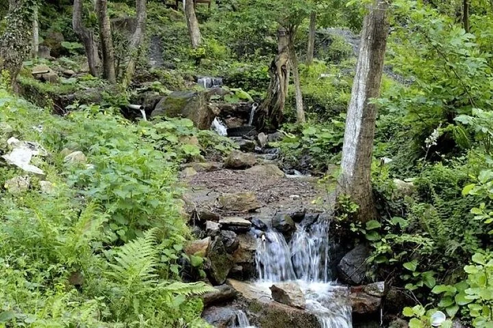 Guided Sapanca and Masukiye Full Day Tour from Istanbul