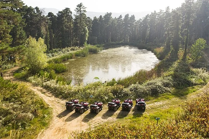 Guided Sapanca and Masukiye Full Day Tour from Istanbul