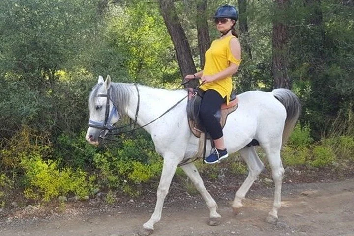 Horse Safari From Kemer