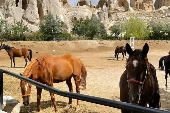 Horseback Safari Tour in Cappadocia Sunset or Sunrise