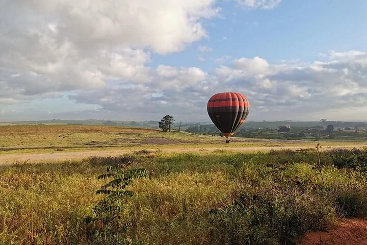 Hot Air Balloon in Stellenbosch