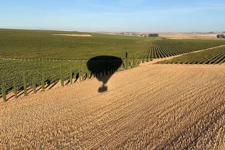 Hot Air Balloon in Stellenbosch