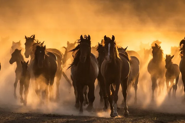 İstanbul Airport Transfer