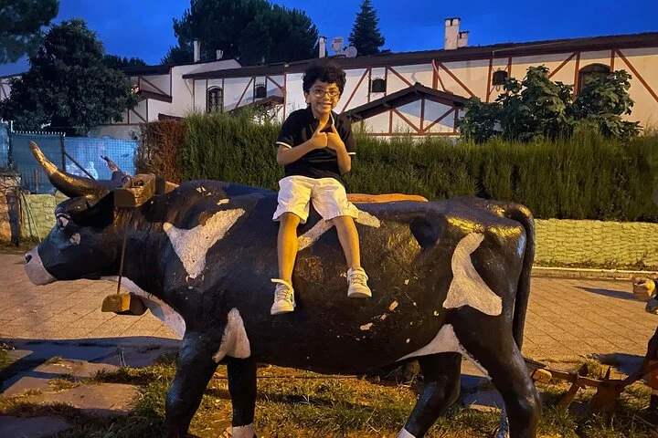 Istanbul Culture And Business Trip Day or Night We Are The Best