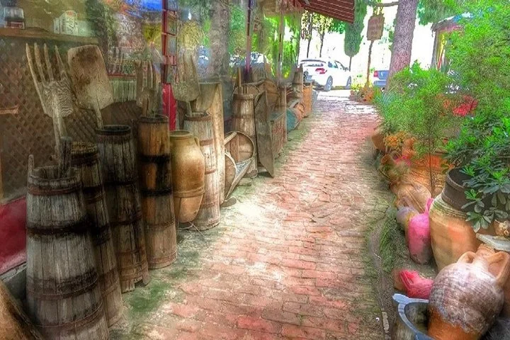 Izmir Port to Ephesus, Selcuk Museum, Temple of Artemis