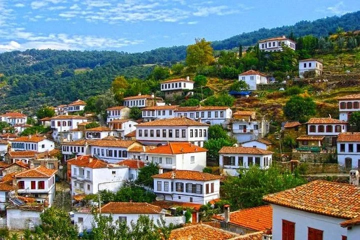 Izmir Port to Ephesus, Terrace Houses, Selcuk Museum, Temple of Artemis