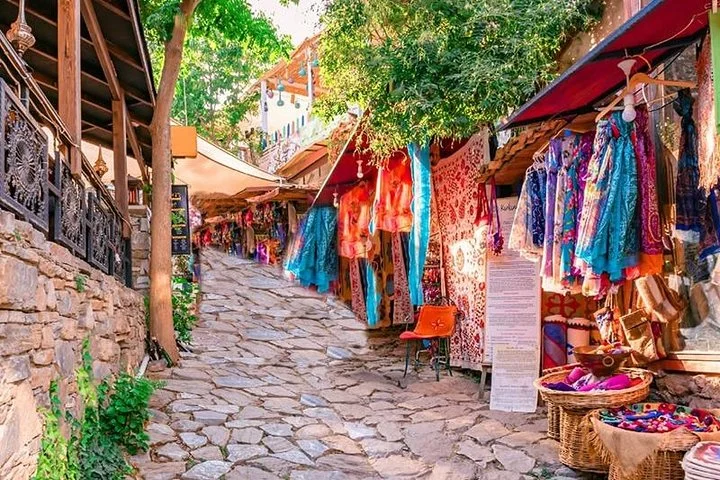 Izmir Port to Ephesus, Terrace Houses, Selcuk Museum, Temple of Artemis