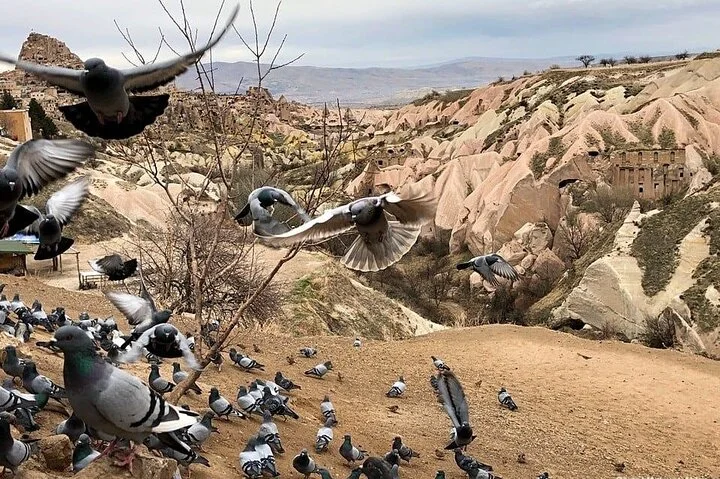 Jewels of Turkey - 4 Day Trip to Pamukkale Ephesus Cappadocia with Balloon Ride